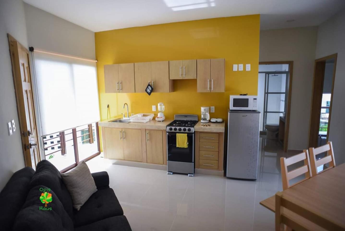 Appartement Opis Haus à Playa del Carmen Extérieur photo